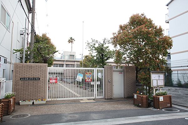 玉美小学校