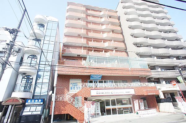 千葉県柏市中央町(賃貸マンション1DK・7階・28.42㎡)の写真 その1