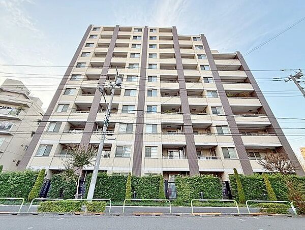 外観：313004535711