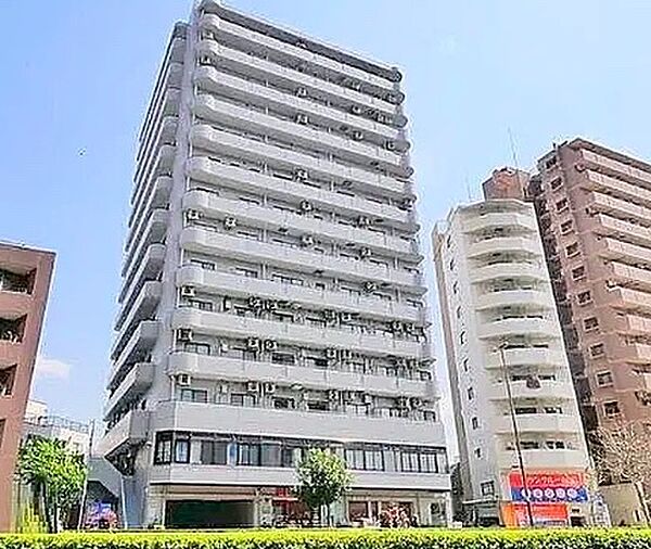外観：313004740385