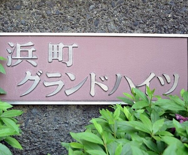 弊社はサービス向上の一環として30分以内のご返信を心掛けております。改善点などお気軽にご相談下さい。