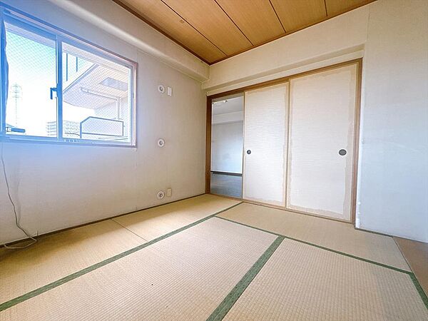 室内（2026年9月）撮影