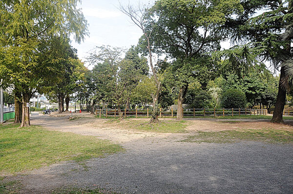 中央公園（1031m）