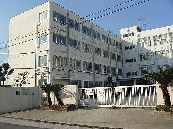 高槻市立城南中学校（591m）