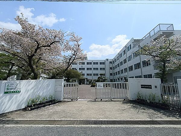 高槻市立柳川中学校（764m）