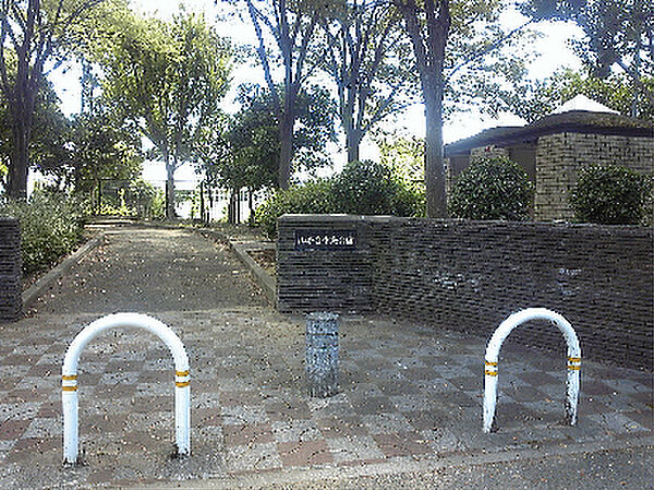 山手台中央公園（486m）