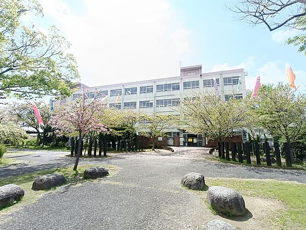 高槻市立玉川小学校（542m）