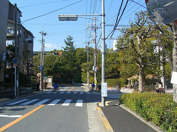 近隣道路