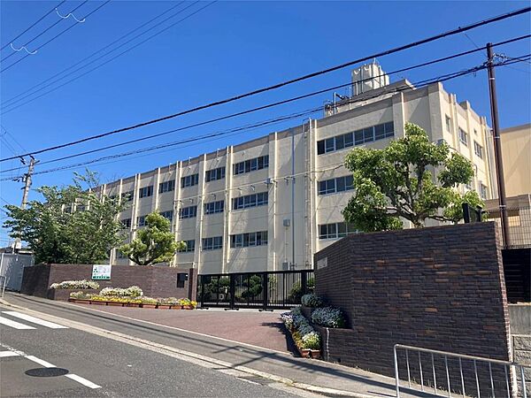高槻市立芝谷中学校（516m）