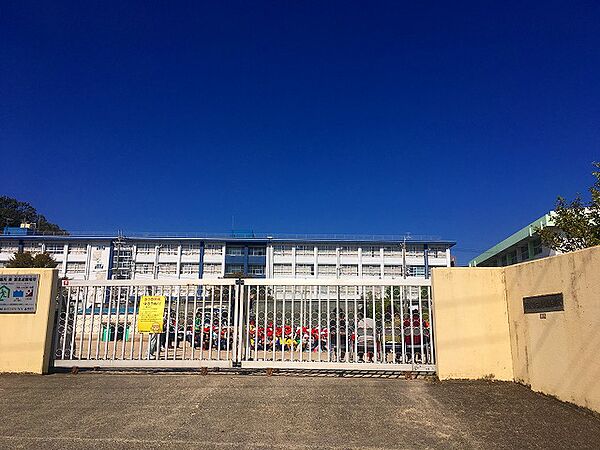 高槻市立奥坂小学校（971m）