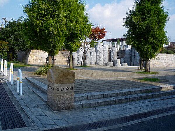 桑田公園（100m）