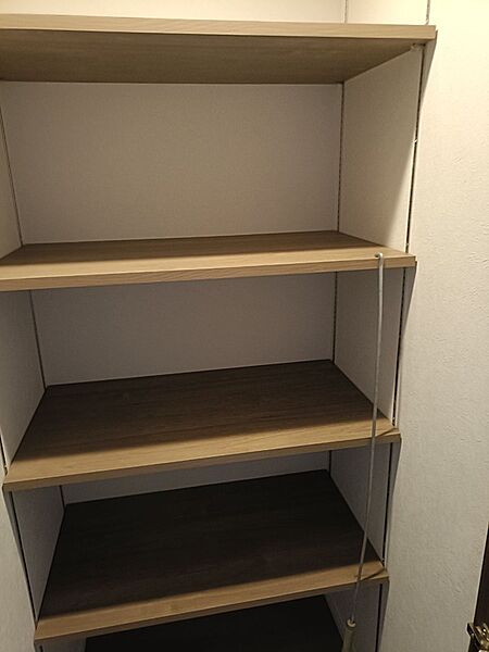 棚板の高さが調整できる収納スペース。書籍やコレクションなど、様々なアイテムをすっきりと整理できます。
