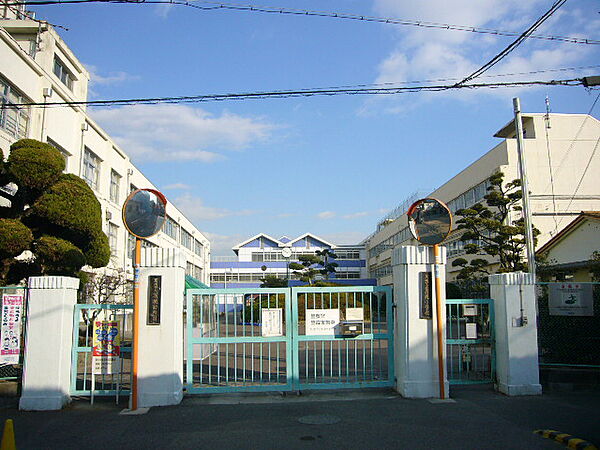 高槻市立高槻小学校（52m）