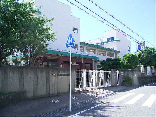 茨木市立畑田小学校（554m）