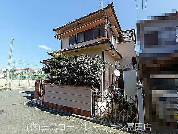 現地写真