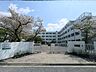 周辺：高槻市立柳川中学校（721m）