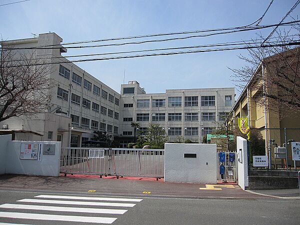 高槻市立郡家小学校（977m）