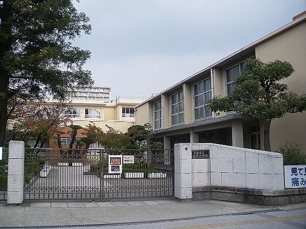 茨木市立養精中学校（800m）