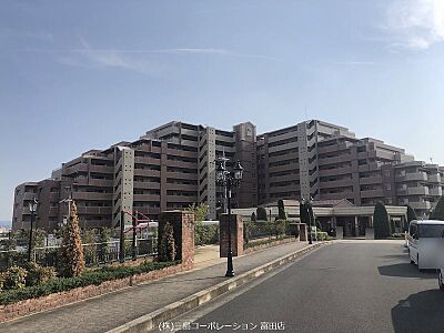 外観:外観 外観:外観