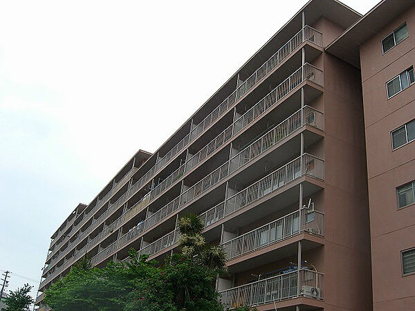 外観（2）