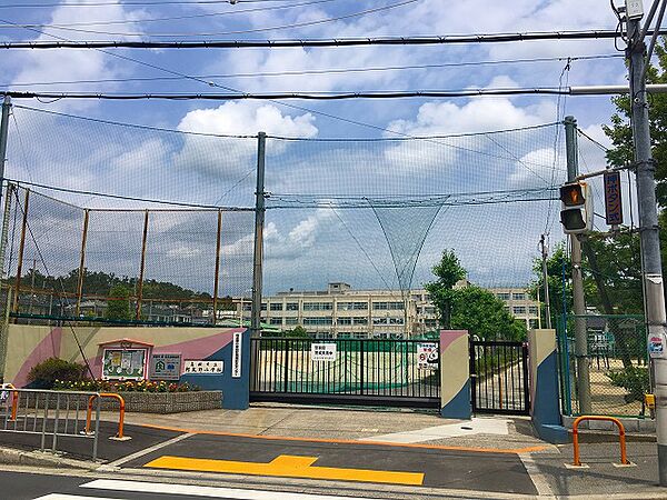 高槻市立阿武野小学校（689m）