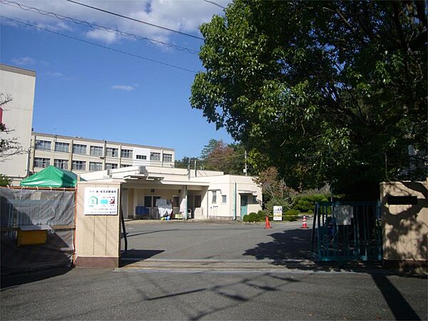 高槻市立安岡寺小学校（234m）