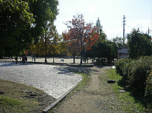 緑が丘公園（1131m）