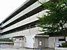 周辺：吹田市立東山田小学校（560m）