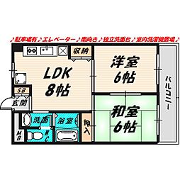 リバーサイドニッシン城東ハイツ 2階/-