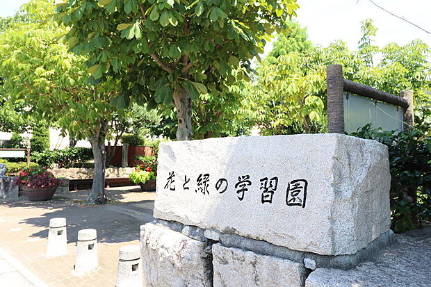 上ケ池公園：周辺には大きな公園もあります！