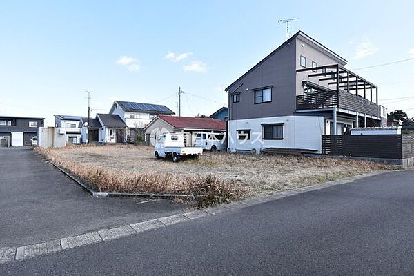 2025年2月19日撮影