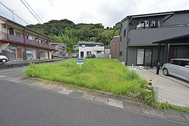 2026年7月14日撮影