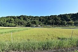 鹿児島県鹿児島市喜入前之浜町