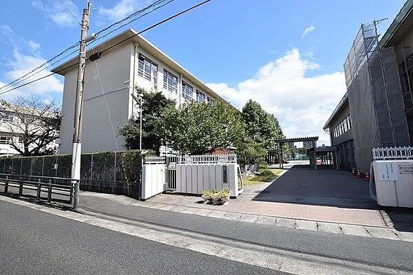 南中学校【鹿児島市立南中学校】は、東郡元町に位置する1959年創立の中学校です。令和3年度の生徒数は409人で、14クラスあります。校訓は「明朗・友愛・規律」です。 2000m