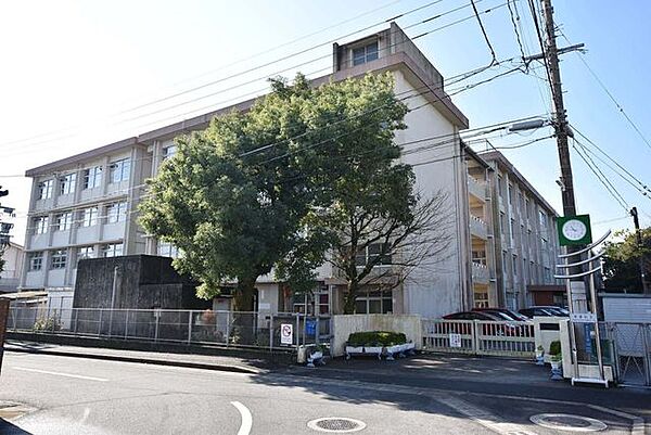 桜丘中学校【鹿児島市立桜丘中学校】は、桜ヶ丘2丁目に位置する1978年創立の中学校です。令和4年度の生徒数は425人で、15クラスあります。校訓は「自主の鐘」です。 1450m
