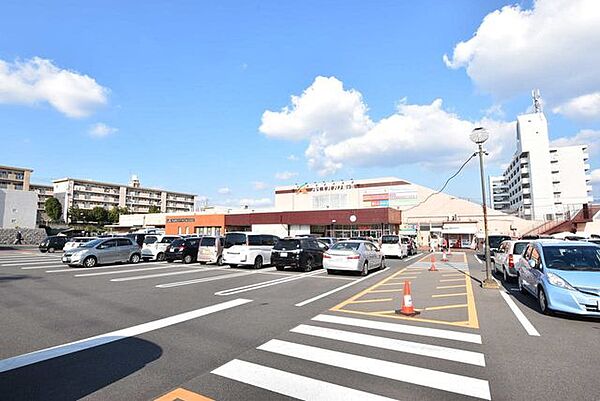 Aコープ 鹿児島 桜ヶ丘店【A・コープ鹿児島桜ヶ丘店】鹿児島市桜ヶ丘4丁目にあるスーパーです。営業時間　9：30～21：00テナント　フラワーショップ、クリーニング、コインランドリー、 980m