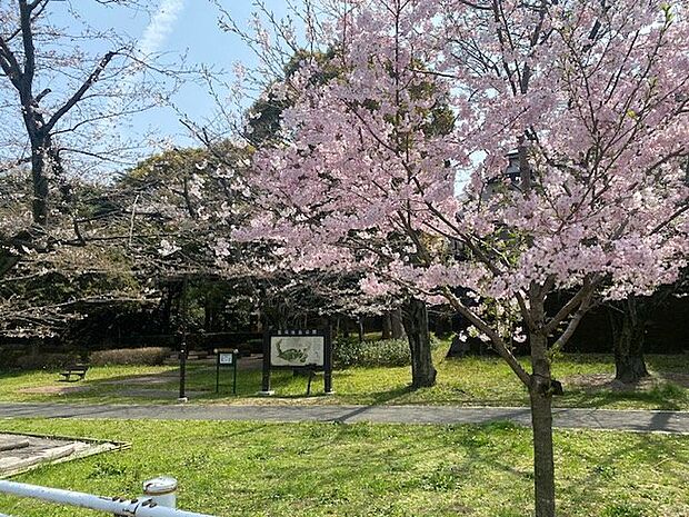 富岡総合公園まで190ｍ　春は桜がキレイです