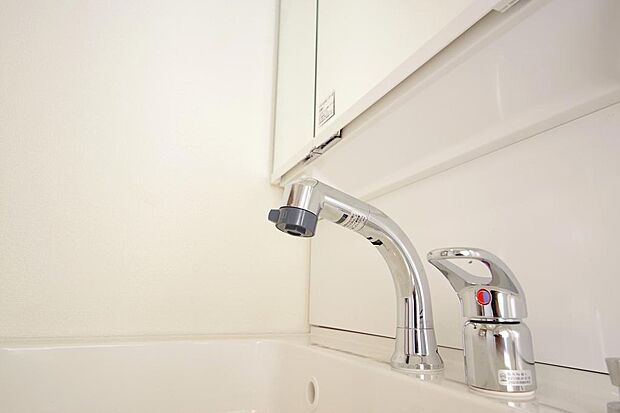 洗面台の給水口はホースが伸びるので朝シャン出来ます。シングルレバーでお湯の温度も楽々調整出来ます。