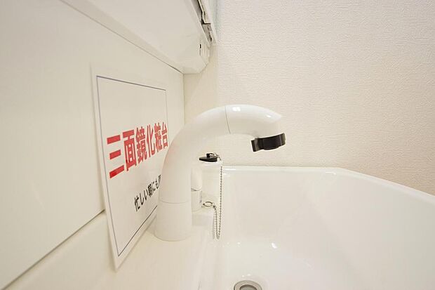 洗面台の給水口はホースが伸びるので朝シャン出来ます。シングルレバーでお湯の温度も楽々調整出来ます。