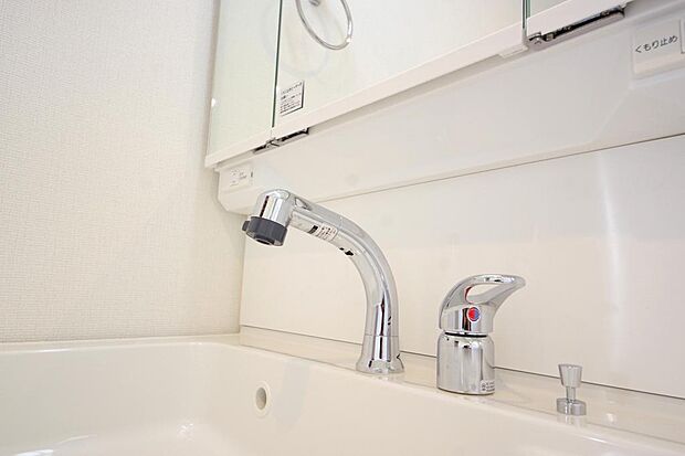 洗面台の給水口はホースが伸びるので朝シャン出来ます。シングルレバーでお湯の温度も楽々調整出来ます。