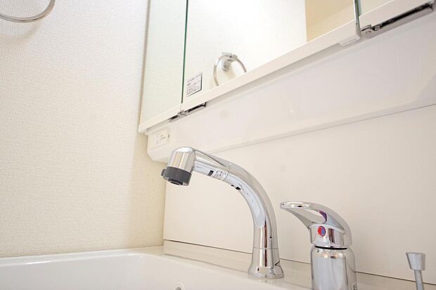 洗面台の給水口はホースが伸びるので朝シャン出来ます。シングルレバーでお湯の温度も楽々調整出来ます。