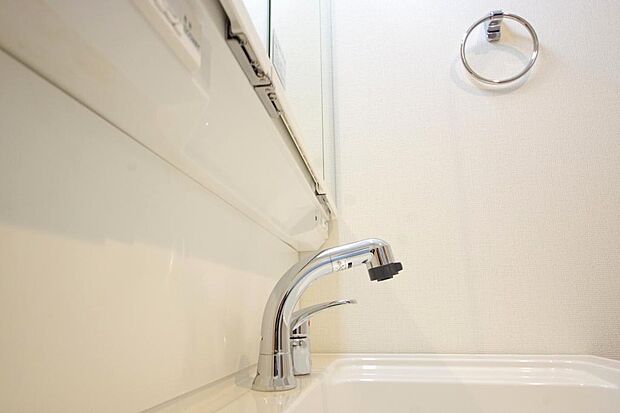 洗面台の給水口はホースが伸びるので朝シャン出来ます。シングルレバーでお湯の温度も楽々調整出来ます。