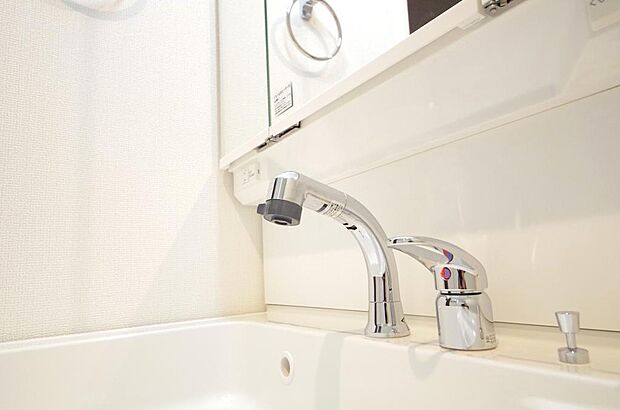 洗面台の給水口はホースが伸びるので朝シャン出来ます。シングルレバーでお湯の温度も楽々調整出来ます。