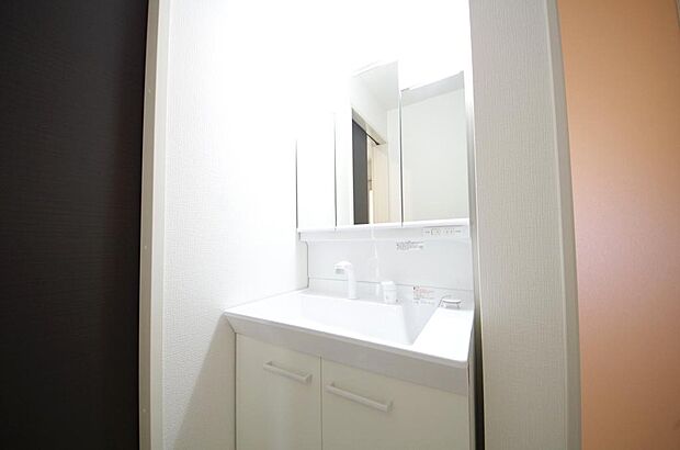家族全員で利用するパブリックスペースとなりますので、鏡周りの収納ですっきり洗面台がご利用いただけます