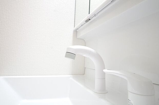洗面台の給水口はホースが伸びるので朝シャン出来ます。シングルレバーでお湯の温度も楽々調整出来ます。