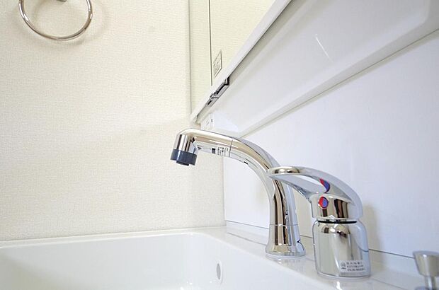 洗面台の給水口はホースが伸びるので朝シャン出来ます。シングルレバーでお湯の温度も楽々調整出来ます。