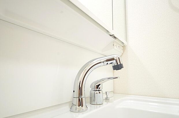 洗面台の給水口はホースが伸びるので朝シャン出来ます。シングルレバーでお湯の温度も楽々調整出来ます。
