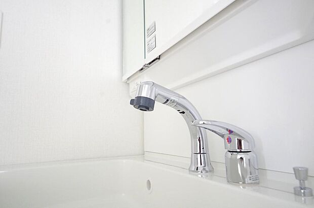 洗面台の給水口はホースが伸びるので朝シャン出来ます。シングルレバーでお湯の温度も楽々調整出来ます。