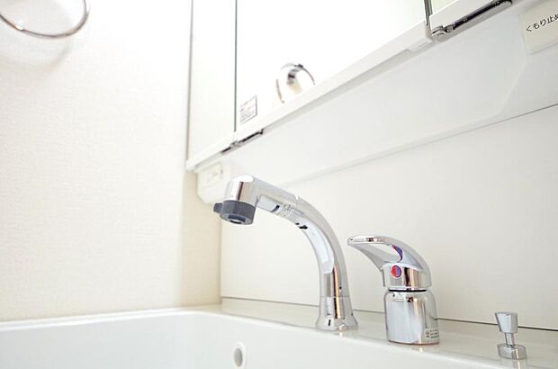 洗面台の給水口はホースが伸びるので朝シャン出来ます。シングルレバーでお湯の温度も楽々調整出来ます。