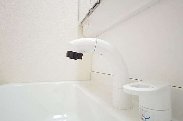 洗面台の給水口はホースが伸びるので朝シャン出来ます。シングルレバーでお湯の温度も楽々調整出来ます。